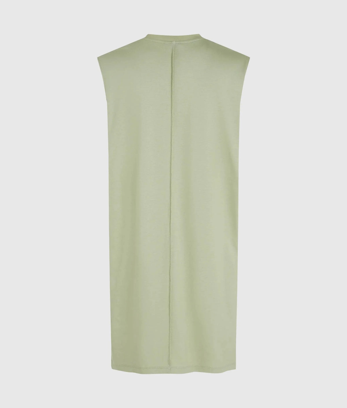 Raised seam tank dress