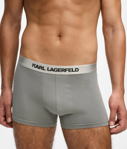 Metallic logo trunks – 3-pack