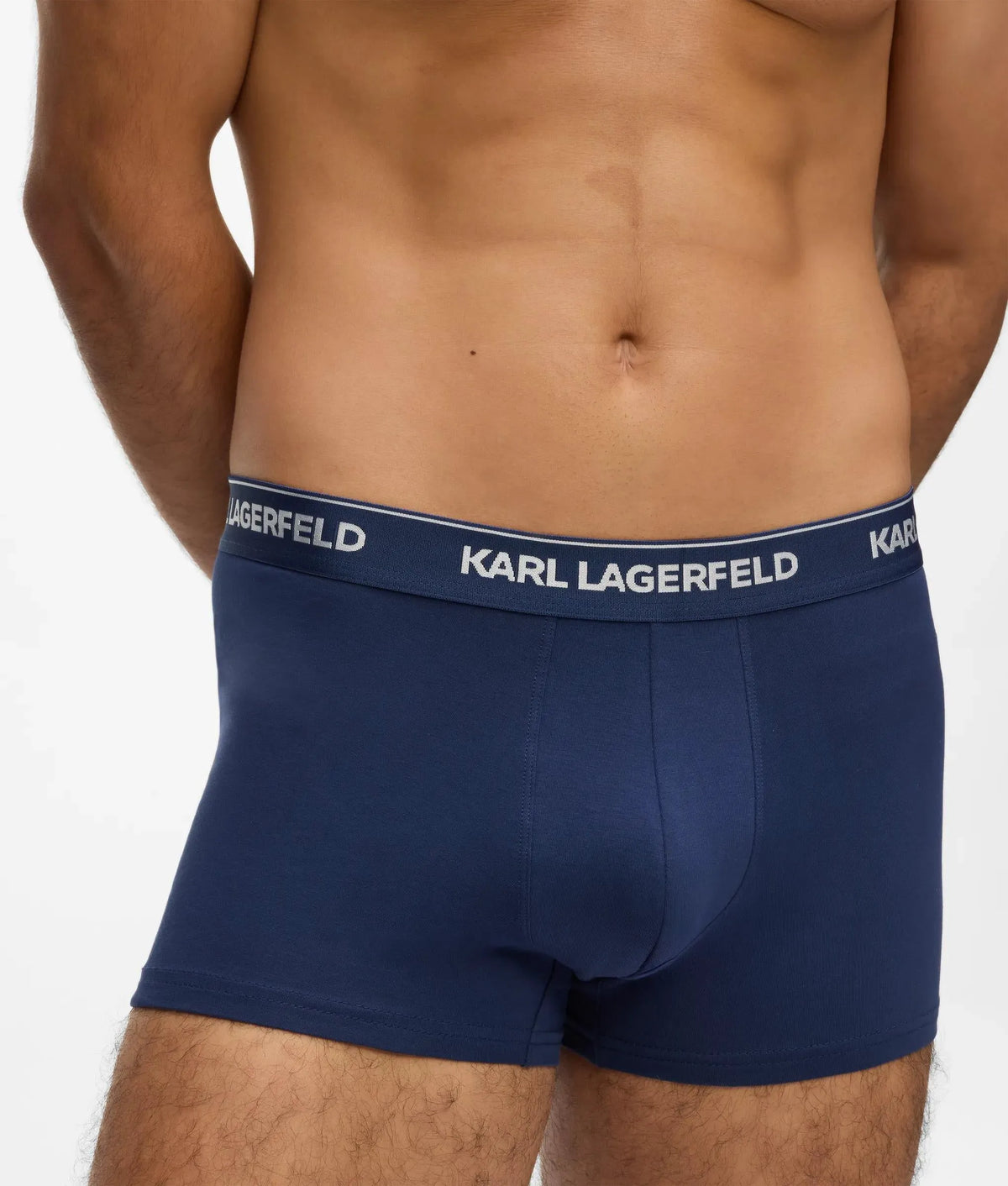 Metallic logo trunks – 3 pack