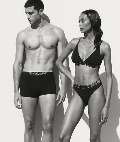 Stripe brief