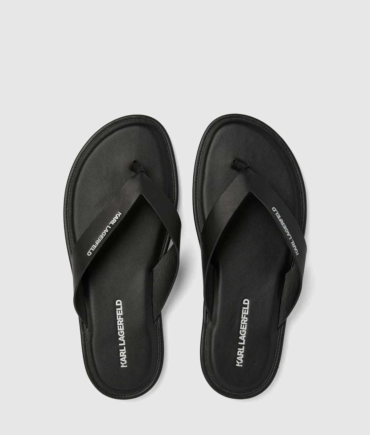 Kastor IV slides