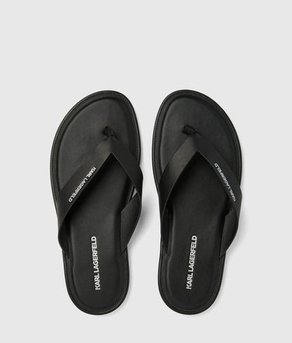 Kastor IV slides