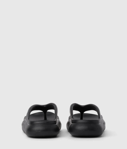 Skoona II slides