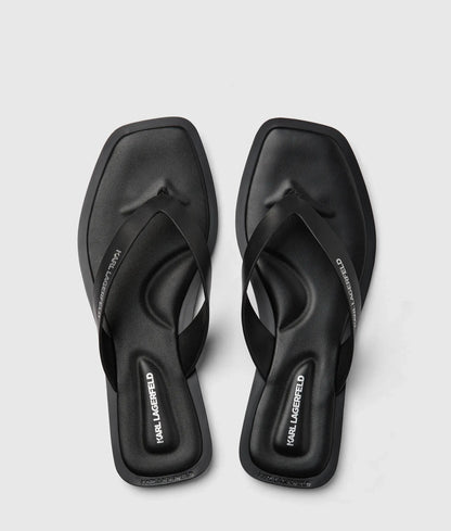 Kastor IV slides