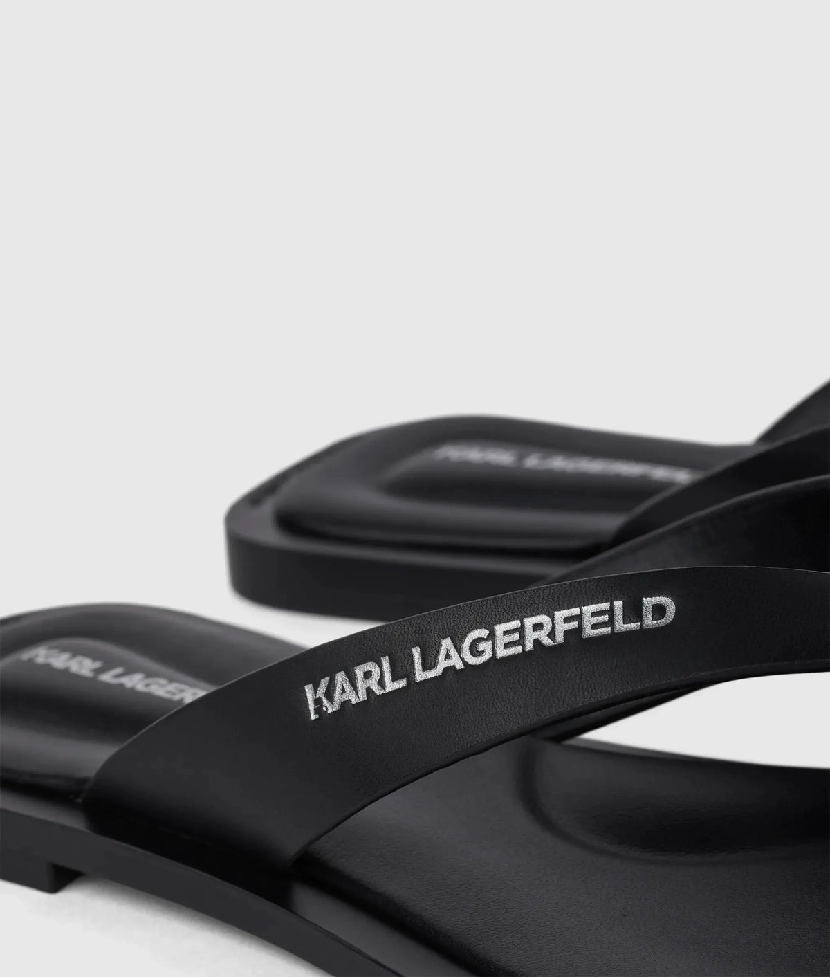 Kastor IV slides