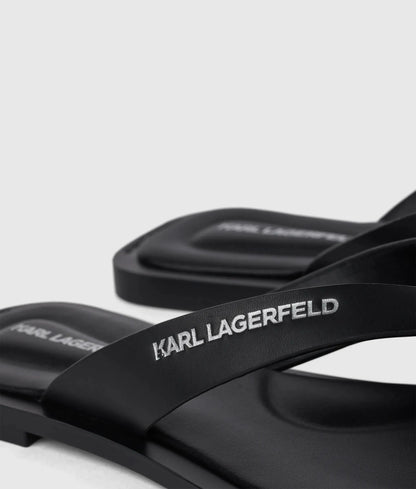 Kastor IV slides